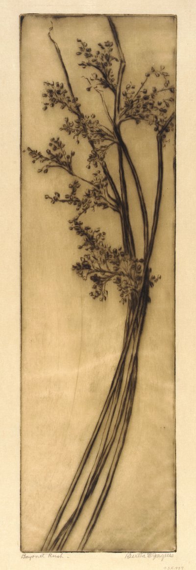 Bajonett Rush av Bertha E. Jaques