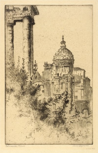 Kolonner, Forum Romanum av Bertha E. Jaques