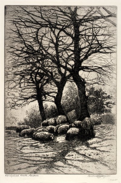 Hampstead Heath, London av Bertha E. Jaques