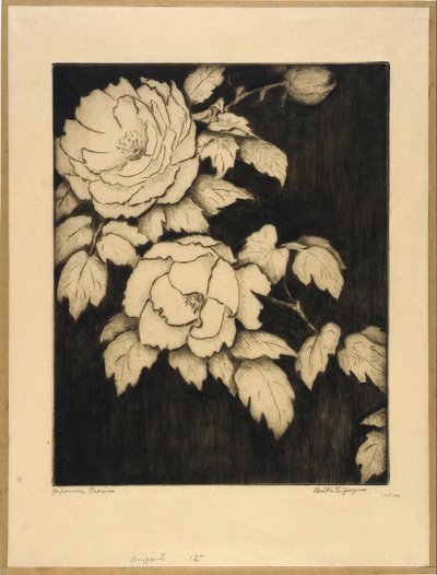 Japanska pioner av Bertha E. Jaques