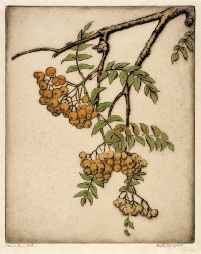 Rönnbär av Bertha E. Jaques