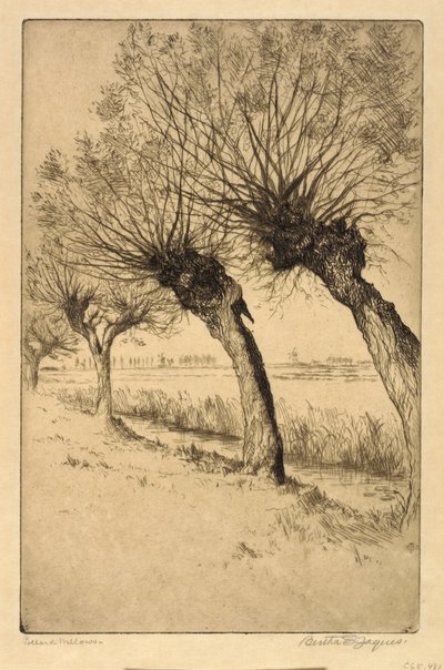 Pollard Willows, Rijsord, Holland av Bertha E. Jaques