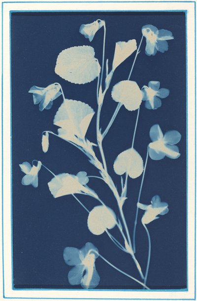Ofrälse av Bertha Evelyn Jaques