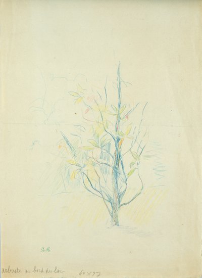 Buskar vid sjön, 1893 (färgpenna på papper) av Berthe Morisot