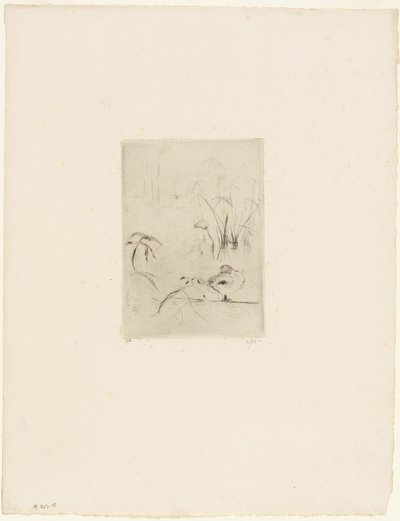 Ankan av Berthe Morisot