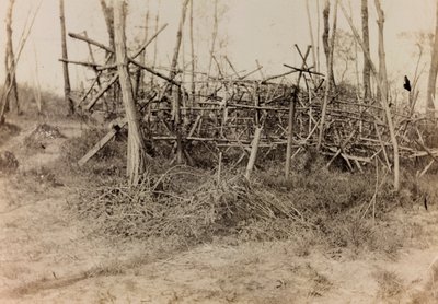 Album av första världskriget i Friuli-Venezia Giulia: defensivt hinder (frisiska hästar), 05/1916 (s/v foto) av Bertoni Bertoni