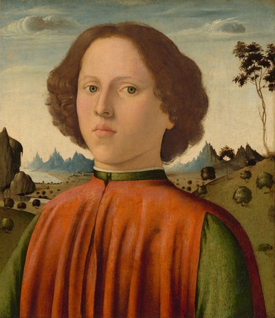 Porträtt av en pojke, ca. 14761480. av Biagio d