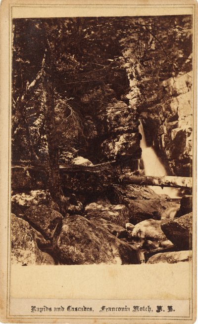 Rapids and Cascades, Franconia Notch, New Hampshire, 1860-talet. av Bierstadt Brothers