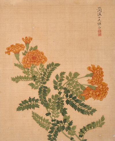 Album of Flowers (tusch och färg på siden) av Bing Yun