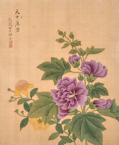 Album of Flowers (tusch och färg på siden) av Bing Yun