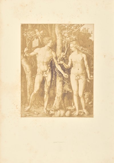 Adam och Eva av Bisson Frères