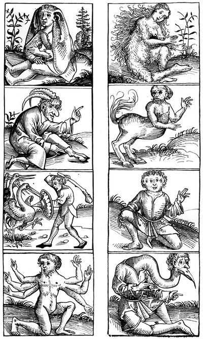 Tro och populär vidskepelse, 1493 1849. av Bisson and Cottard