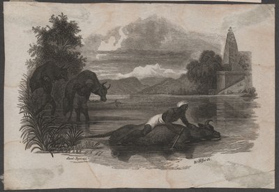 Bönder bär död boskap, ca 1850 (gravyr) av Blasius Höfel