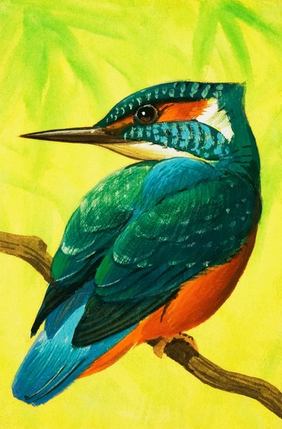 Kingfisher. av Bob Hersey