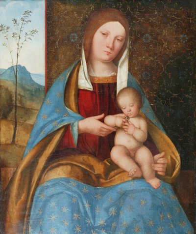 Madonna och barn (olja på panel) av Boccaccio Boccaccino