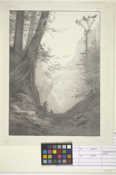 Big Cedars (bläck på papper, litografi) av Bolton Coit Brown
