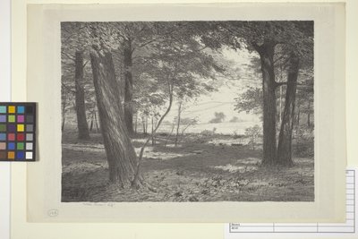 Edge Of The Woods (bläck på papper) av Bolton Coit Brown