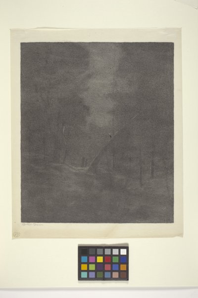 Moonlight Woods (bläck på papper) av Bolton Coit Brown