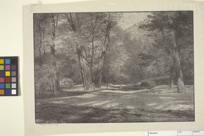 Sierra Woods (bläck på papper) av Bolton Coit Brown