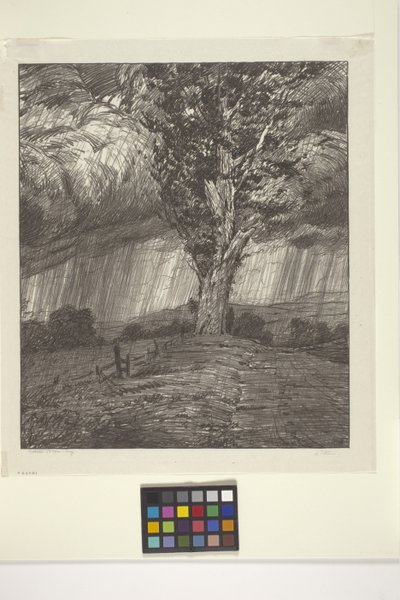 Storm (bläck på papper) av Bolton Coit Brown