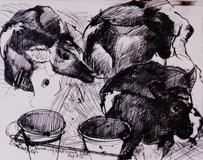 Kalvar, fuktiga, nyfödda, 1978 av Brenda Brin Booker