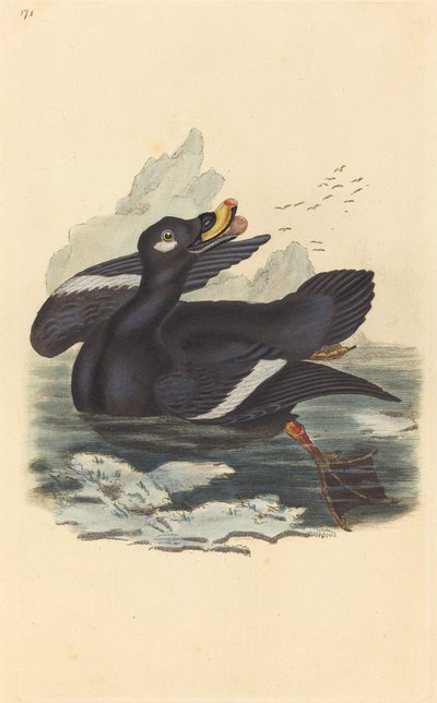 Sammetsanka av British 19th Century