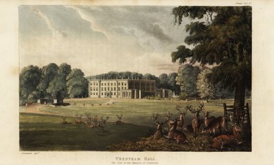 Flock rådjur framför Trentham Hall av British School