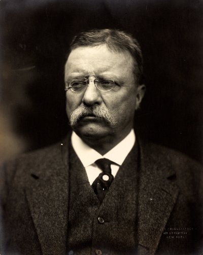 Theodore Roosevelt, ca 1915 (s/v foto) av Brothers Pach