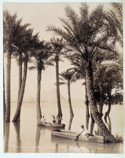 En palmlund vid foten av pyramiderna i Egypten - fotografi av bröderna Zangali, sent 1800-tal av Brothers Zangaki