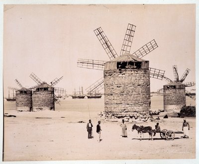 Moulins a Alexandria - fotografi av bröderna Zangali, sent 1800-tal av Brothers Zangaki