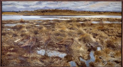 Curlews Fåglar i kärren. Målning av Bruno Andreas Liljefors (1860-1939) 1913 sön. 1,19x2,2 m av Bruno Andreas Liljefors