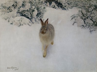 Hare på vintern av Bruno Andreas Liljefors