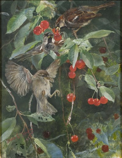 Sparvar i ett körsbärsträd, 1885 av Bruno Andreas Liljefors
