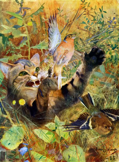 En katt och en bofink, 1885 1945. av Bruno Andreas Liljefors