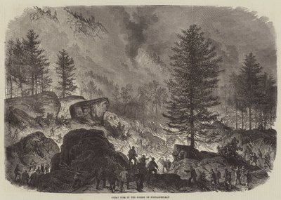 Great Fire in the Forest of Fontainebleau  av Burn Smeeton