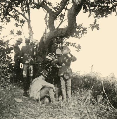Träd från vilket kapten Paget...såg...San Juan-slaget, spansk-amerikanska kriget, juni 1898, 1899. av Burr McIntosh