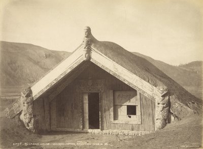 Runanga House - Wairoa - After Eruption juni 10.86, juli 1886 (albumtryck) av Burton Brothers Studio