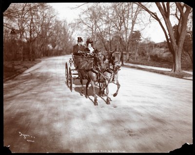 Anna Held och Florenz Ziegfeld kör en häst och vagn, New York, 1904 (silvergelatintryck) av Byron Company