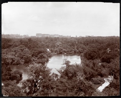 Utsikt över Central Park från Plaza Hotel, 5th Avenue och 59th Street, New York, 1907 (silvergelatintryck) av Byron Company