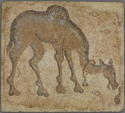 Mosaikfragment med betande kamel av Byzantine
