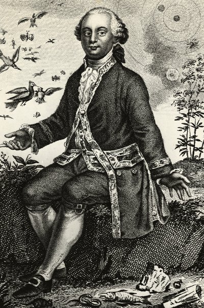 Porträtt av Georges-Louis Leclerc de Buffon (1707-1788), fransk naturforskare och matematiker, gravyr av J.B. and Brown J. Rowbotham