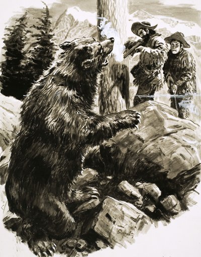 Amerikansk grizzlybjörn skjuts av fångstmän av C.L. Doughty