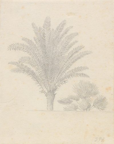 Palmträd och blad grupp av Christoffer Wilhelm Eckersberg