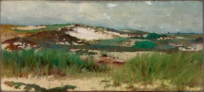 Nantucket Sand Dune av C. Morgan McIlhenney