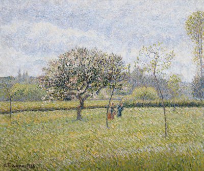 Äppelträd i blom på Eragny; Pommier en Fleur a Eragny, 1888 av Camille Jacob Pissarro