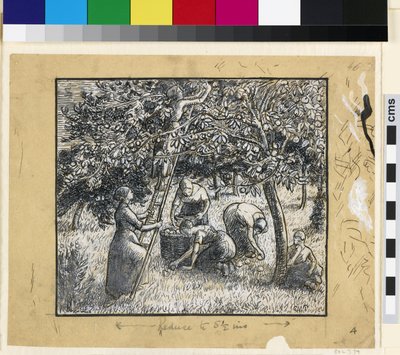Kompositionsstudie av kvinnliga bönder som skördar äpplen (penna & indiskt bläck med kinesiskt vitt på papper) av Camille Jacob Pissarro