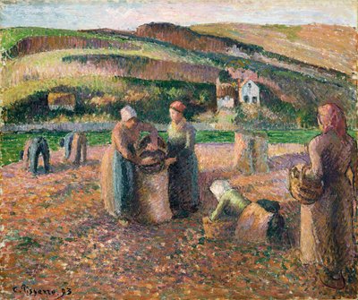 Plocka potatis, 1893 av Camille Jacob Pissarro