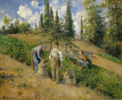 Die Ernte, Pontoise. / Skörden, Pontoise. 1881 av Camille Jacob Pissarro