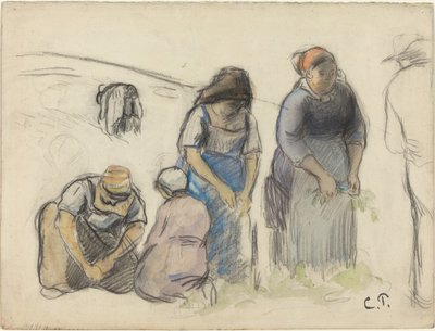 Ärtskördare [recto], ca. 1880. av Camille Pissarro