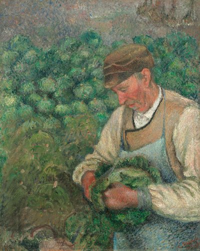 Trädgårdsmästaren - Gammal bonde med kål av Camille Pissarro